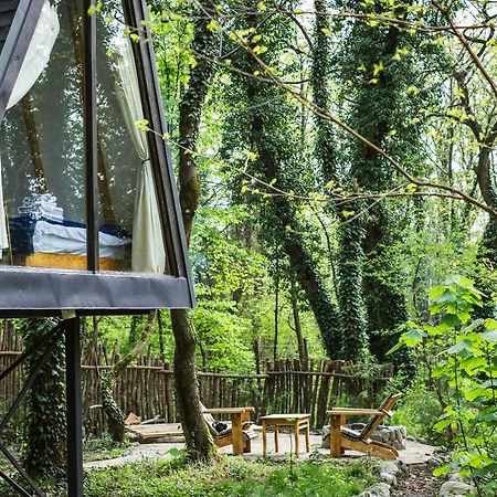 Duende Hotel Lagodekhi Zewnętrze zdjęcie