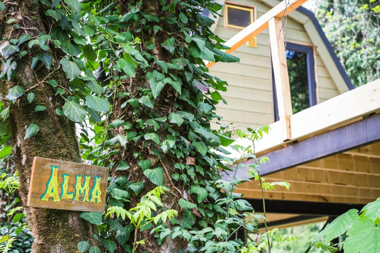 Duende Hotel Lagodekhi Zewnętrze zdjęcie