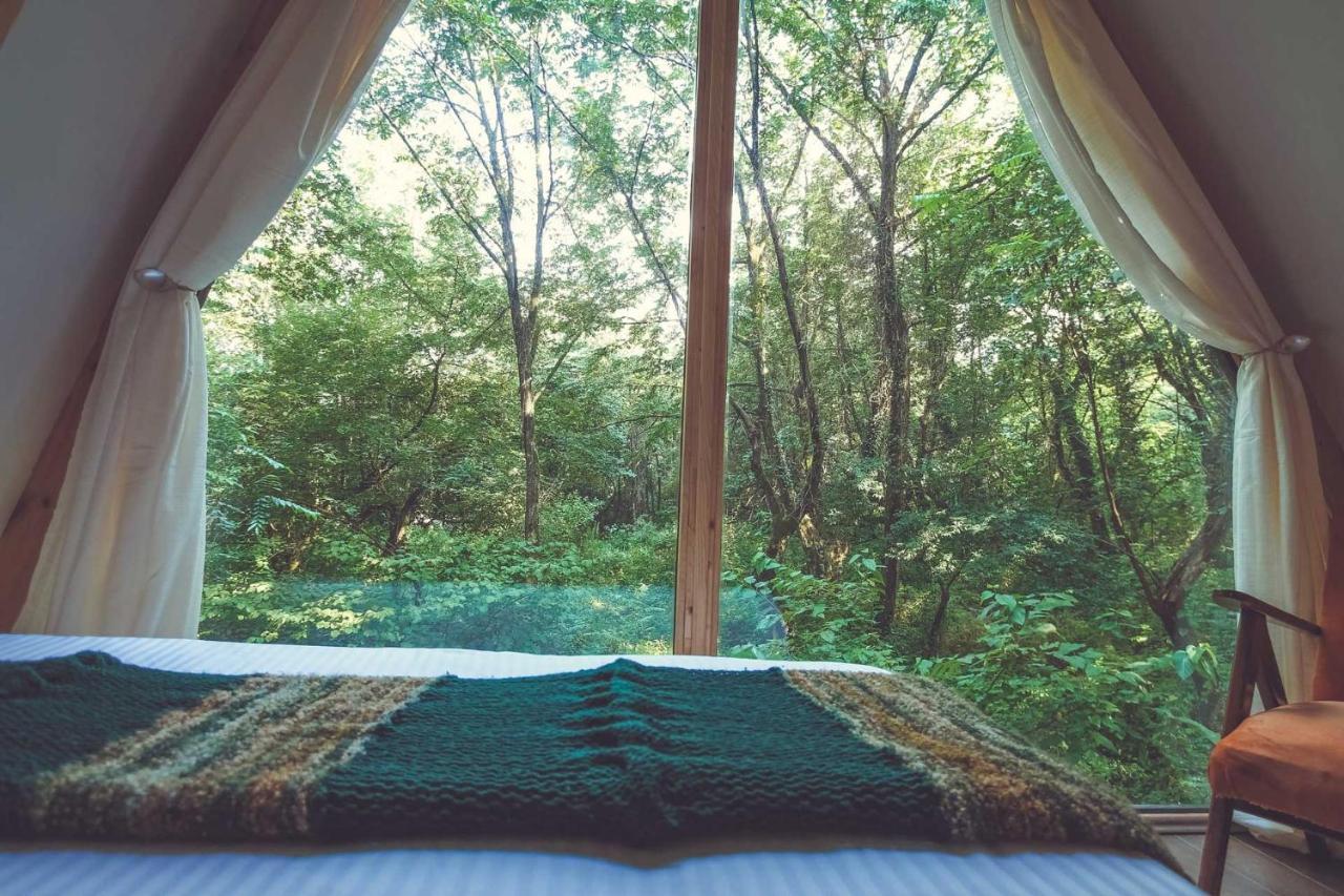 Duende Hotel Lagodekhi Zewnętrze zdjęcie