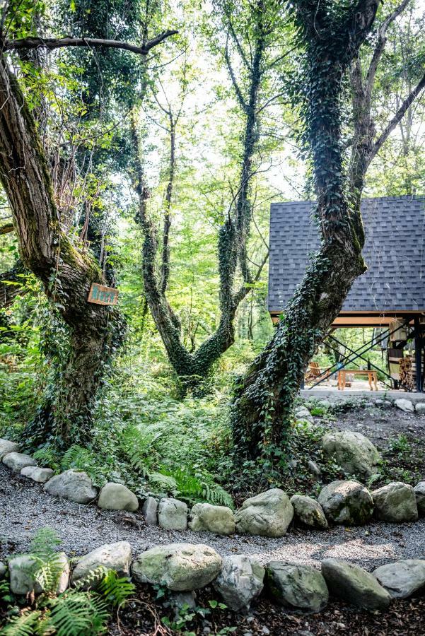 Duende Hotel Lagodekhi Zewnętrze zdjęcie