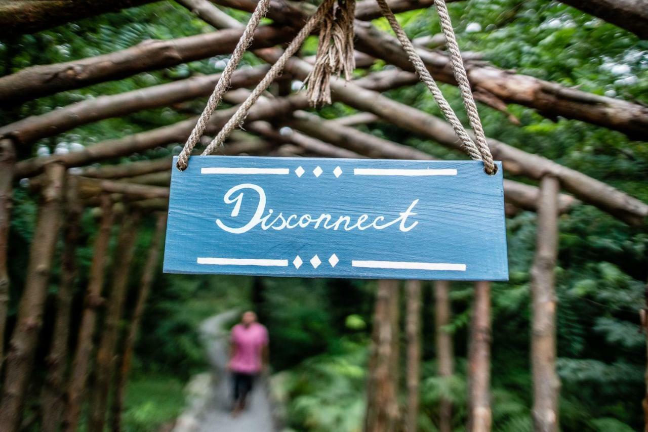 Duende Hotel Lagodekhi Zewnętrze zdjęcie