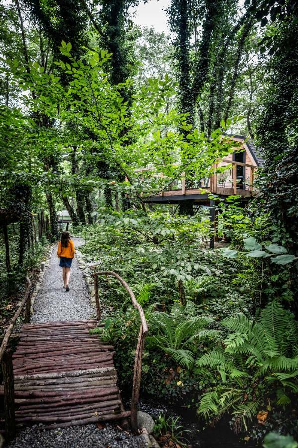 Duende Hotel Lagodekhi Zewnętrze zdjęcie